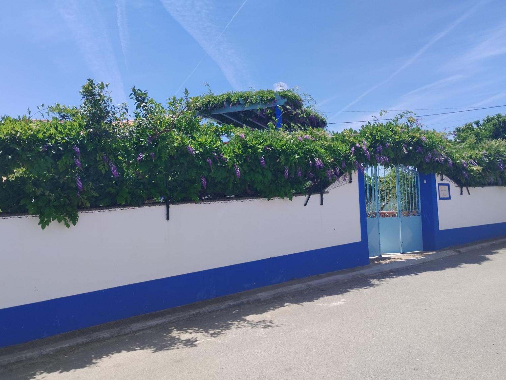 蒙萨拉什Casa Dos Avos别墅 外观 照片